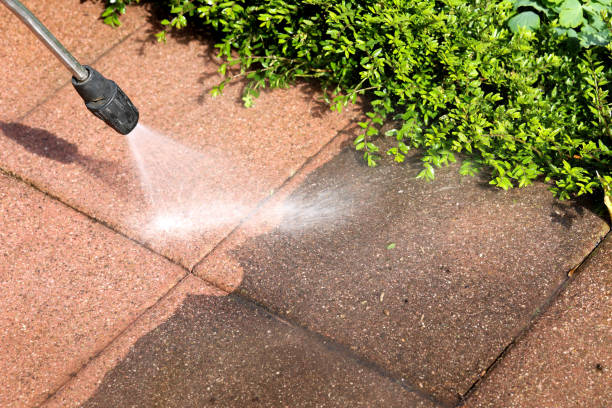 Best Roof Pressure Washing  in Anton, TX